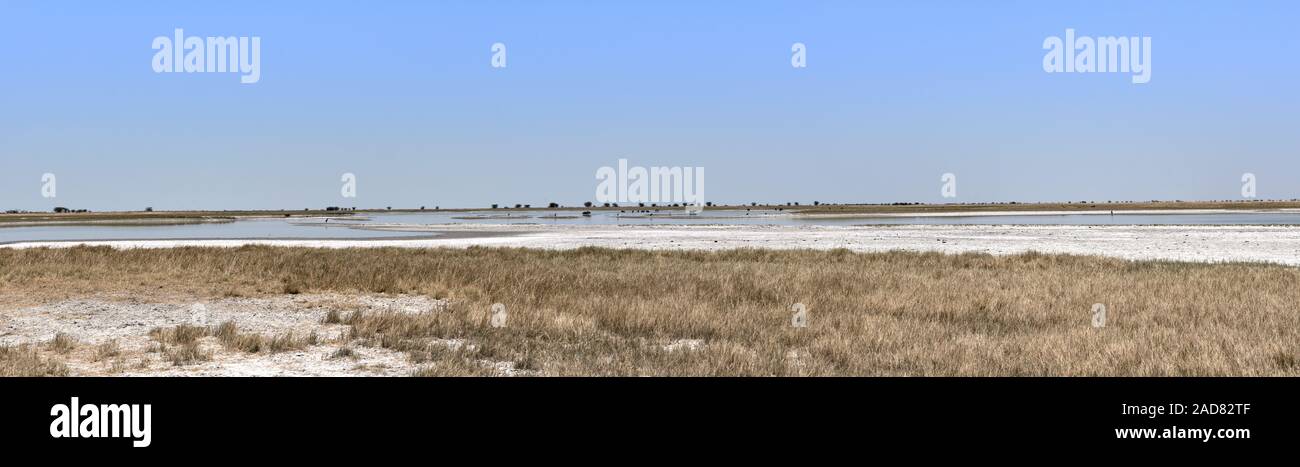 Vue panoramique de l'Nwetwe, Makgadikgadi Pan au Botswana Banque D'Images