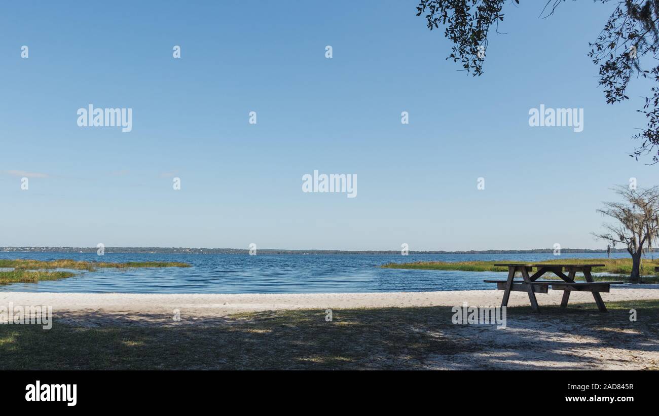 La rive du lac Louisa State Park près d'Orlando, en Floride. Banque D'Images