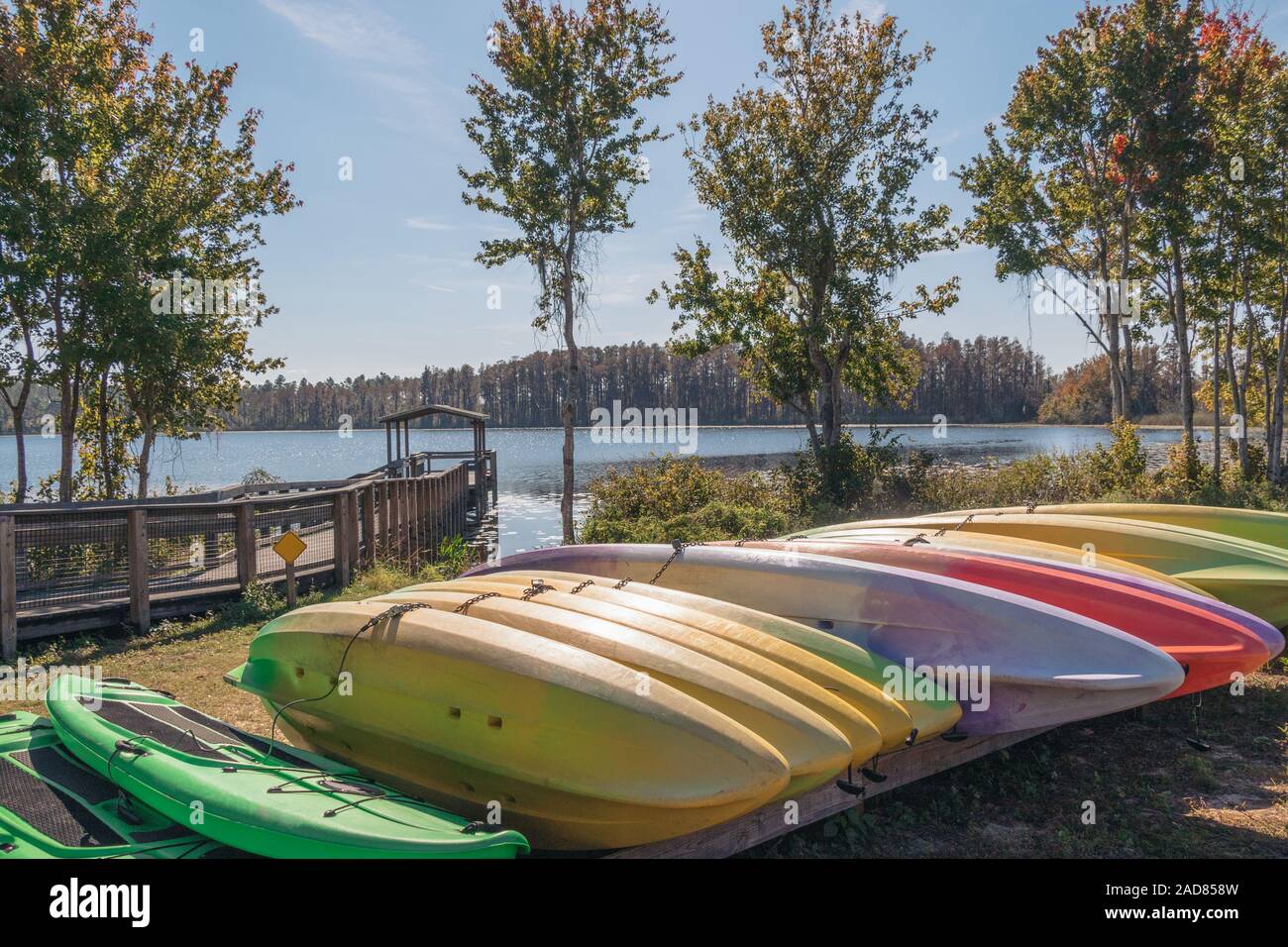 Le Lac Louisa State Park, en Floride. Kayaks à louer au camping. Banque D'Images