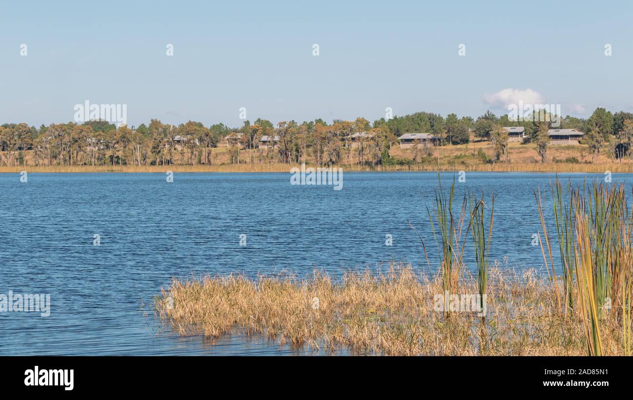 Le Lac Louisa State Park, Floride - Banque D'Images