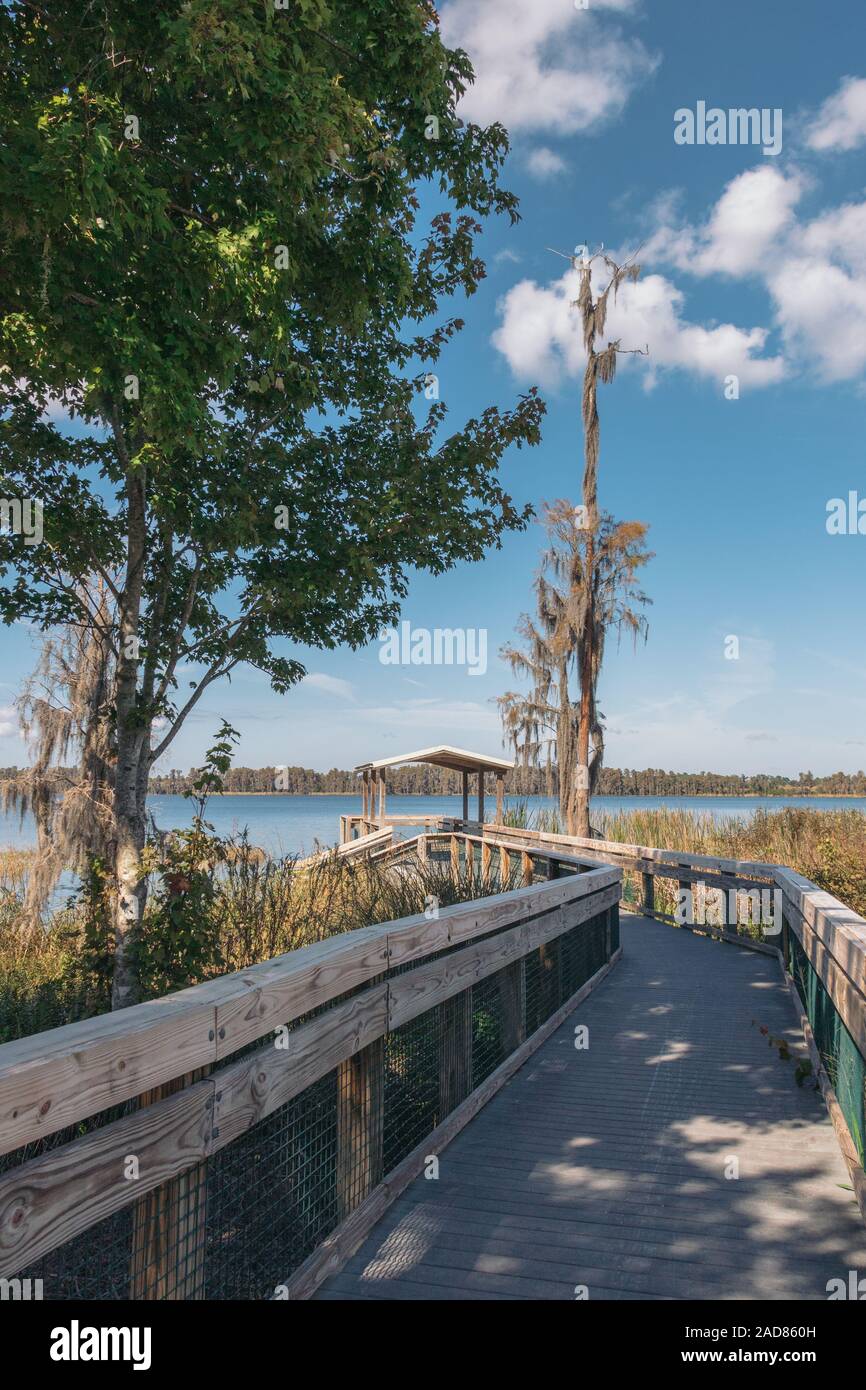 Dock mène à Dixie Lake au camping du lac Louisa State Park près d'Orlando,  en Floride Photo Stock - Alamy
