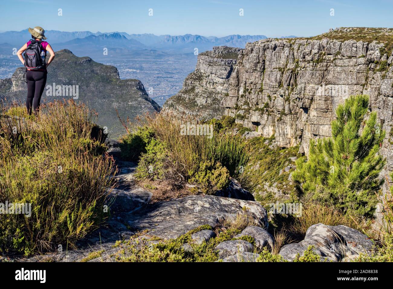 L'Afrique du Sud, la Montagne de la table Banque D'Images