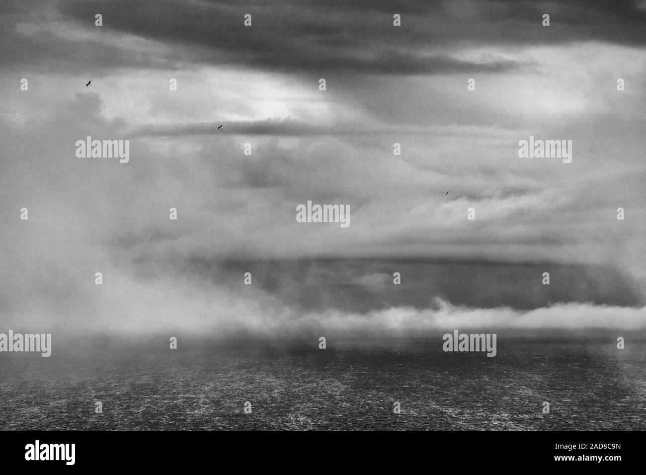 Averse de neige, l'île de la mer de Barents, Soeroeya, Finnmark, Norvège Banque D'Images