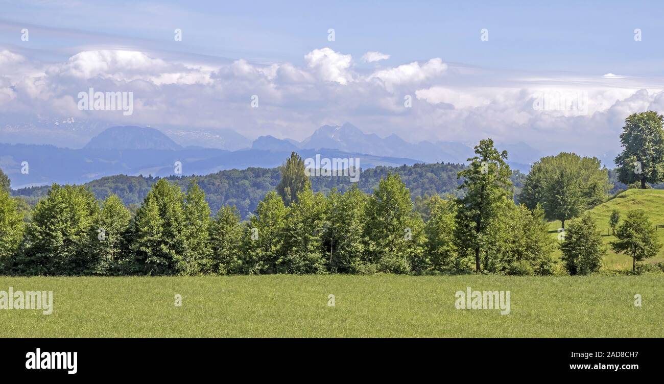 Parc naturel Greifensee, dans le Canton de Zürich, Suisse Banque D'Images