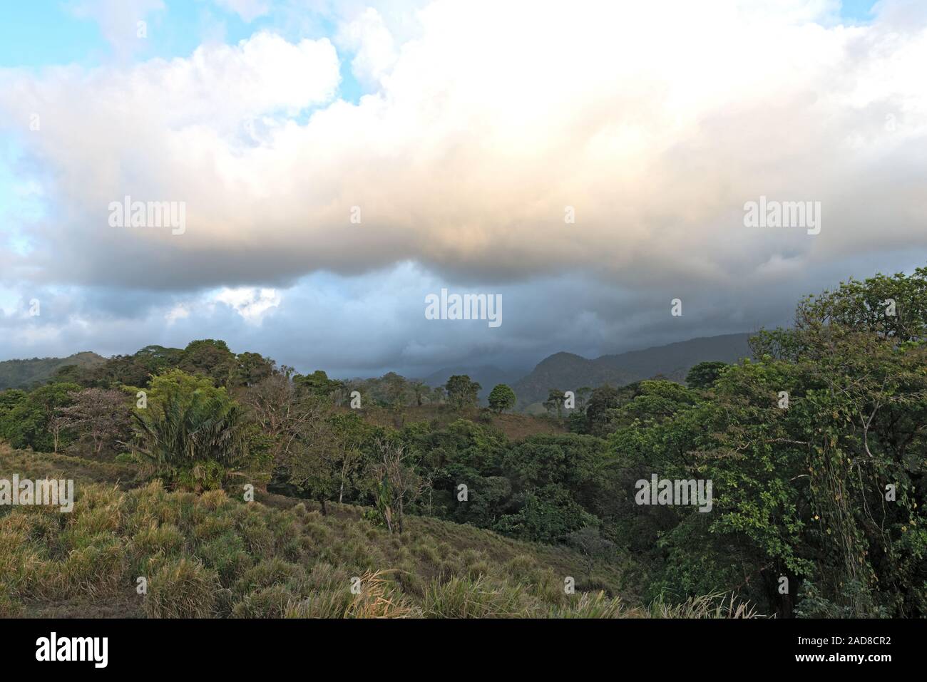 Les nuages au-dessus de la forêt tropicale à Portobelo au Panama Banque D'Images