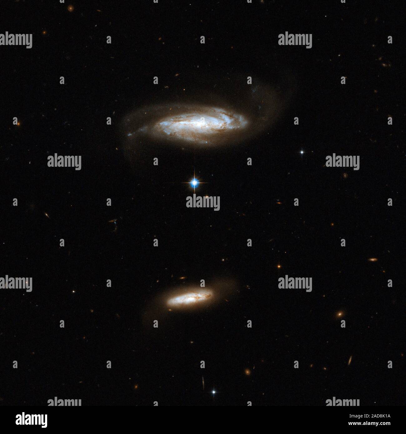 IC 2810 est une galaxie vue près de disque de côté. Il est légèrement perturbé par l'interaction gravitationnelle avec une plus petite, compagnon poussiéreux (situé en bas de l'image). La plus grande galaxie est bleu noeuds de la formation des étoiles. Bien que la paire n'a pas de région qui se chevauchent à l'heure actuelle, il est possible que les deux finissent par se heurter à l'avenir. IC 2810 est situé dans la constellation du Lion, le lion, environ 450 millions d'années-lumière. Cette image fait partie d'une grande collection de 59 images de fusion de galaxies prises par le télescope spatial Hubble et publiée à l'occasion de sa 18e anni Banque D'Images