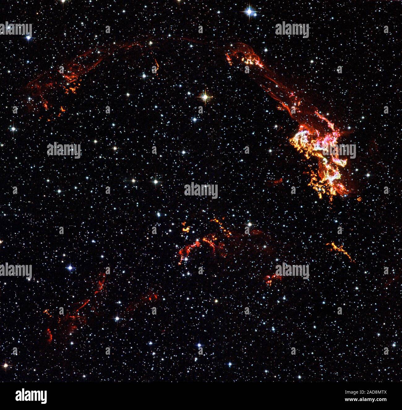 Les Noeuds et rubans filamenteux de gaz incandescent sont visibles dans cette image du télescope spatial Hubble supernova de Kepler. Cette image a été prise avec la caméra avancée de Hubble pour les enquêtes (ACS) en août 2003. Hubble à bord filtres isoler la lumière visible émise par l'hydrogène, l'azote et d'oxygène dans le reste et aussi laisser par starlight de premier plan et arrière-plan d'étoiles. Ces images révèlent où l'onde de choc est supernova claquer dans des régions denses de gaz à proximité. L'incandescent lumineux noeuds sont en bouquets denses qui forment derrière le déménagement vers l'onde de choc. Comme le choc des charrues Banque D'Images