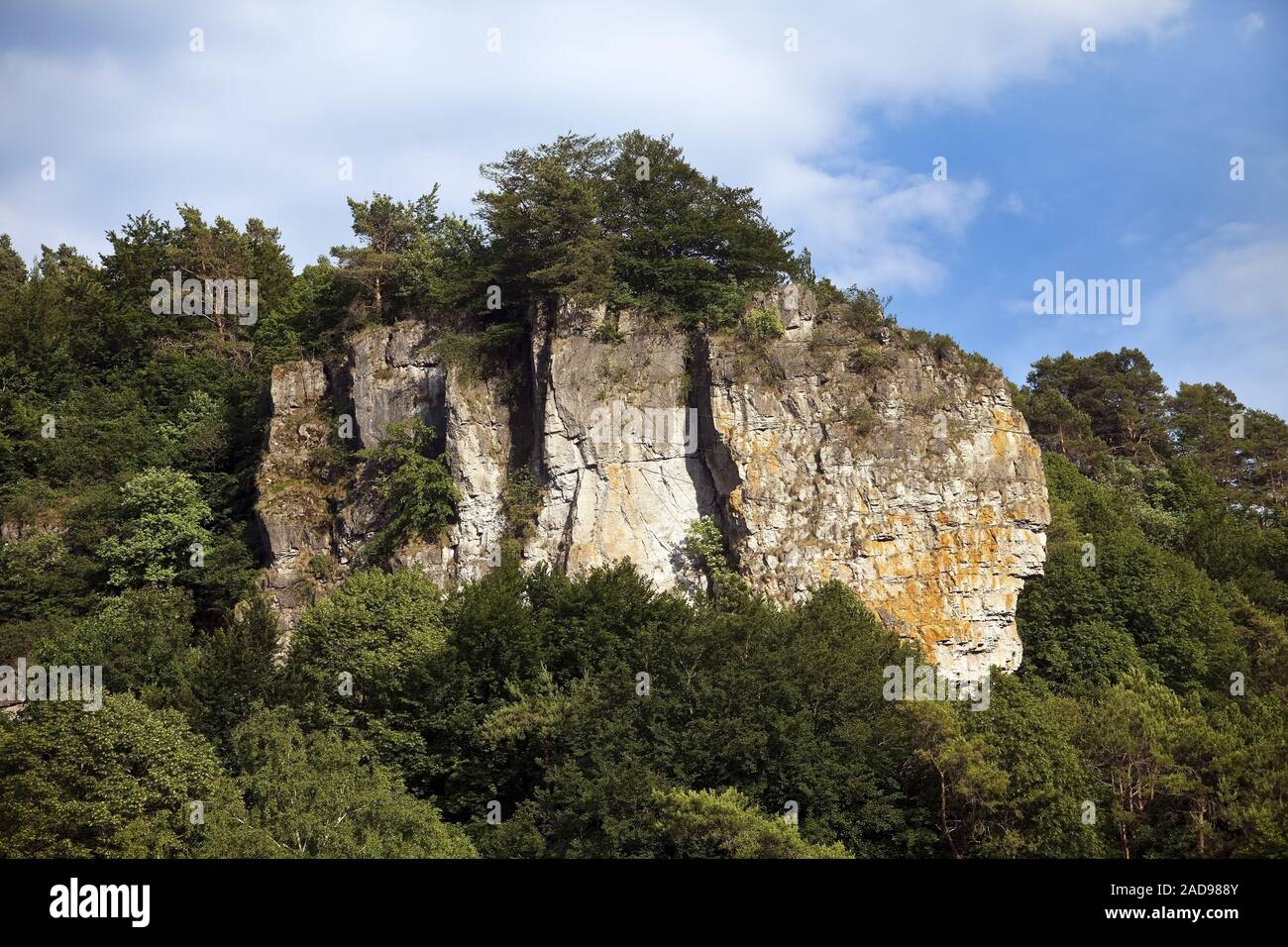 Gerolsteiner Dolomiten, un calcaire dévonien reef, Drees, Rhénanie-Palatinat, Allemagne, Europe Banque D'Images