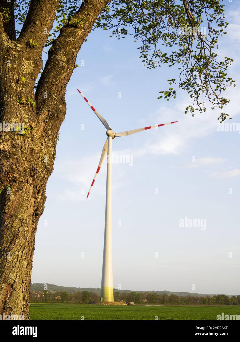 Énergie éolienne Énergie éolienne sur un champ de blé Banque D'Images