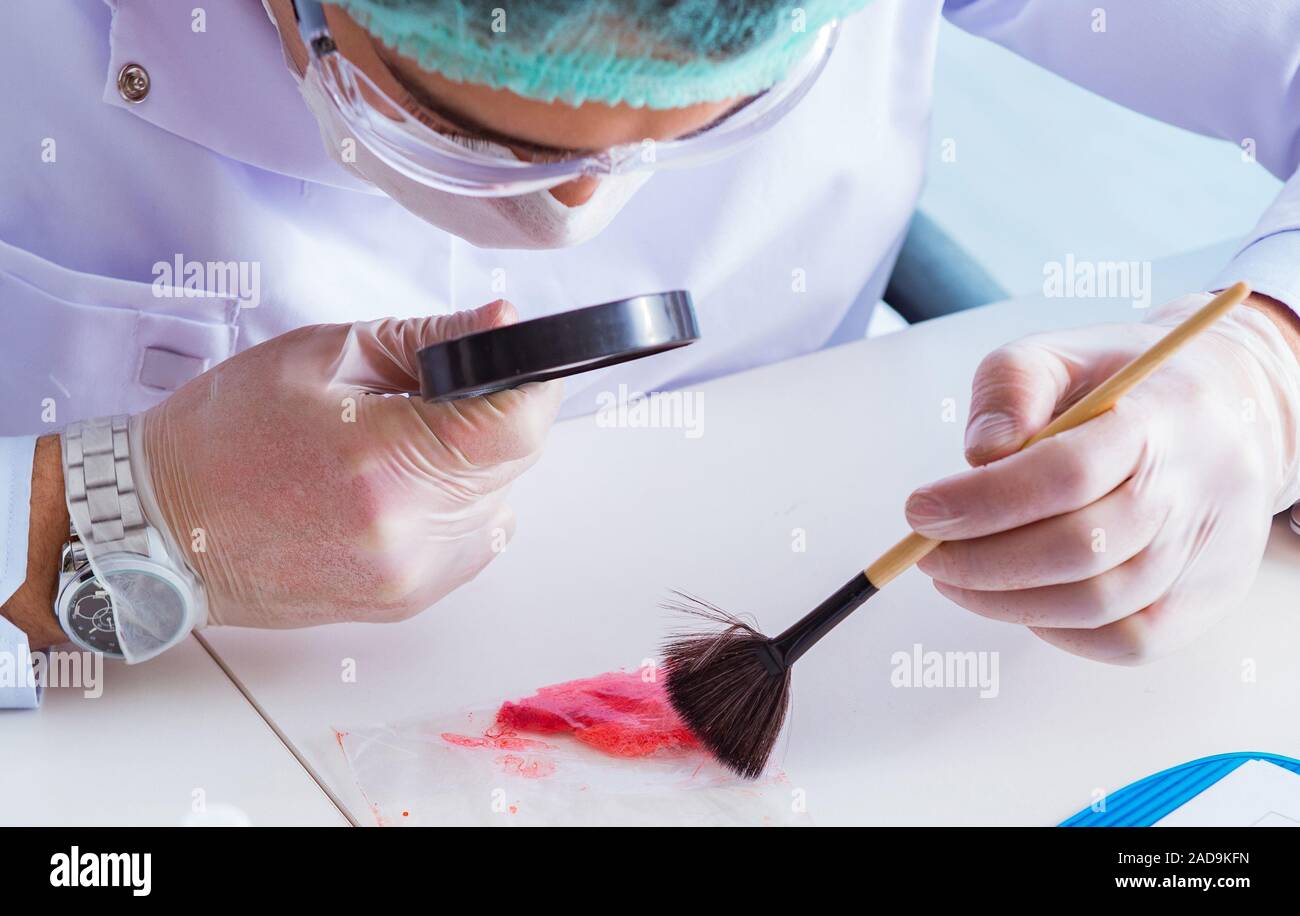 La police criminologue chemist looking at preuve du crime Banque D'Images