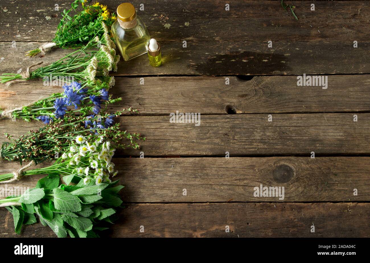 Des herbes médicinales. Les herbes médicinales (camomille, achillée, absinthe, menthe, millepertuis et de chicorée) sur une vieille planche de bois. Banque D'Images