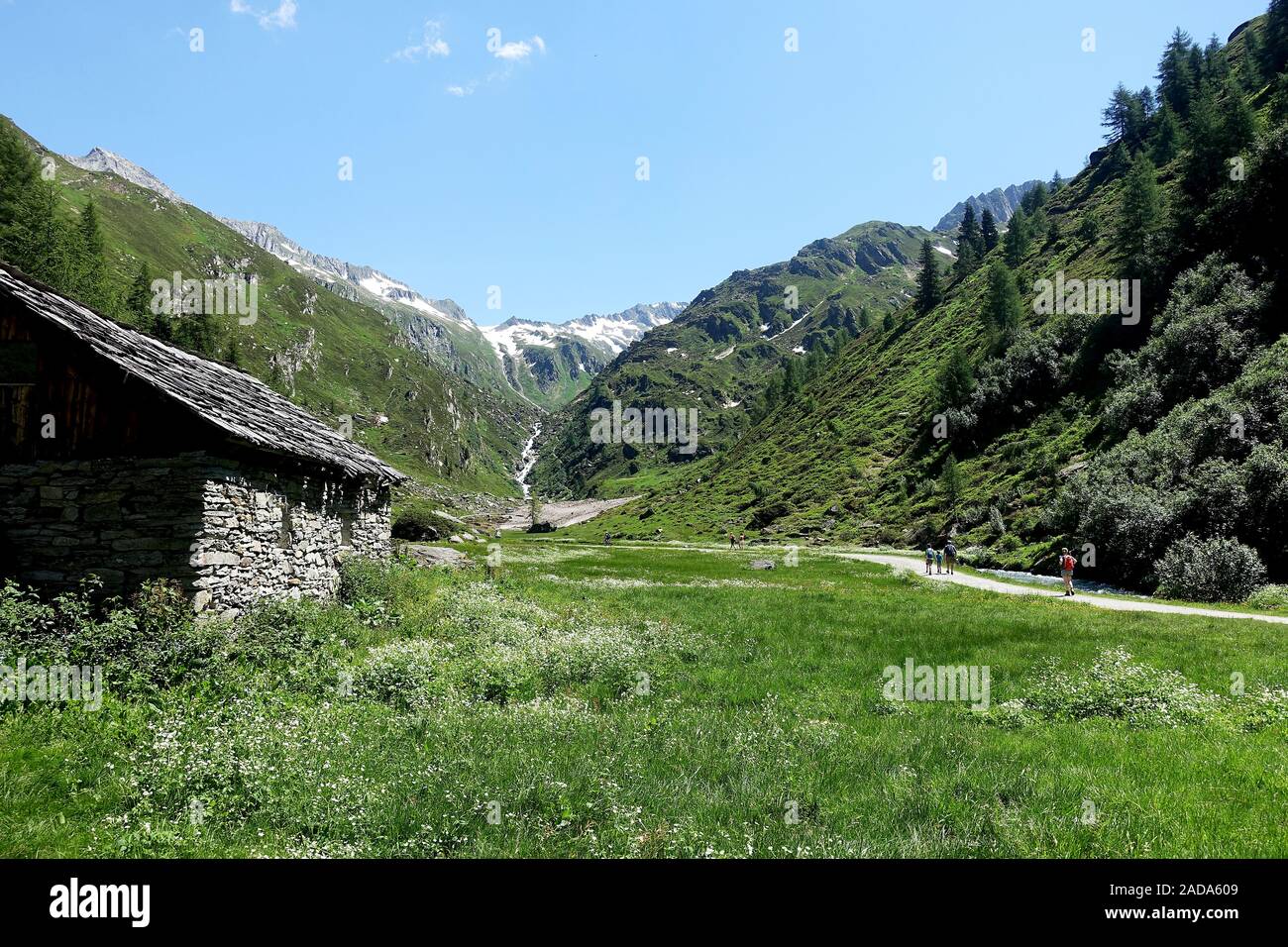 Sentier de randonnée pédestre vers Birnlücken hut, Valle Aurina Tauferer près de Prettau, le Tyrol du Sud Banque D'Images