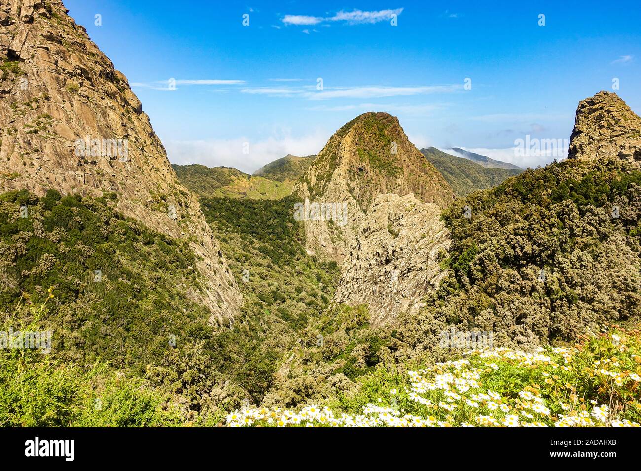 Les célèbres cheminées volcaniques altérées dans le Parc National de Garajonay, La Gomera, Espagne Banque D'Images