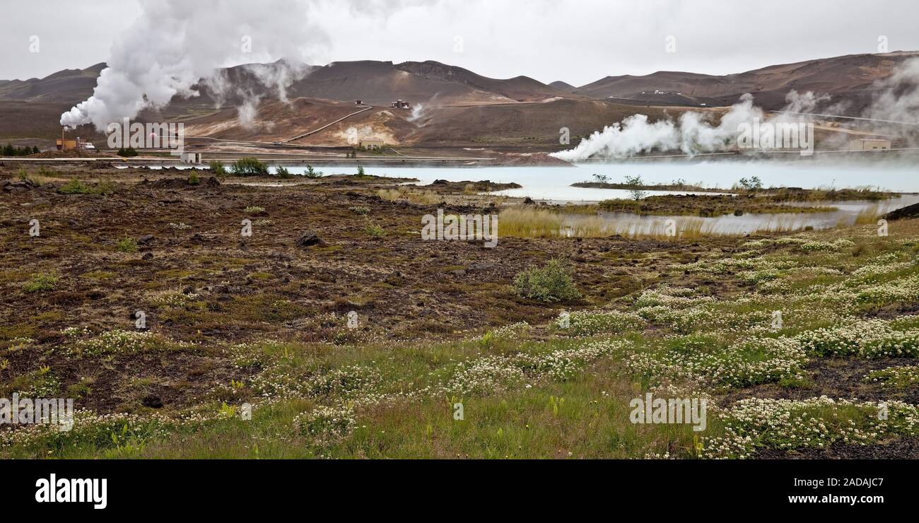 Blue Lake et de la vapeur à la région minière kieselguhr, Reykjahlíd, 73320, Islande, Europe Banque D'Images