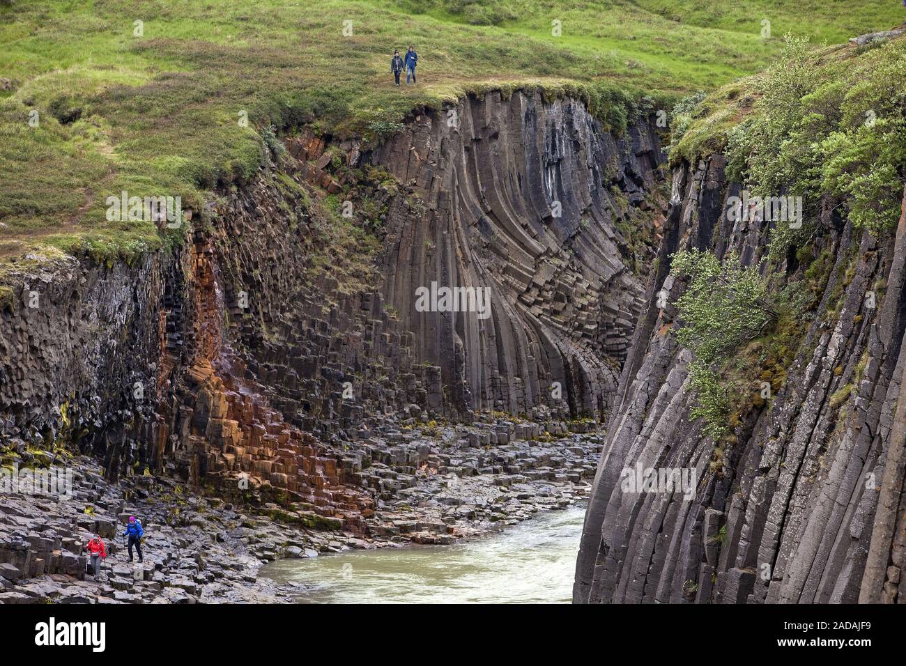 Studlagil avec colonnes de basalte de la vallée et la rivière glacier un Jorkulsa Bru, est de l'Islande, Islande Banque D'Images