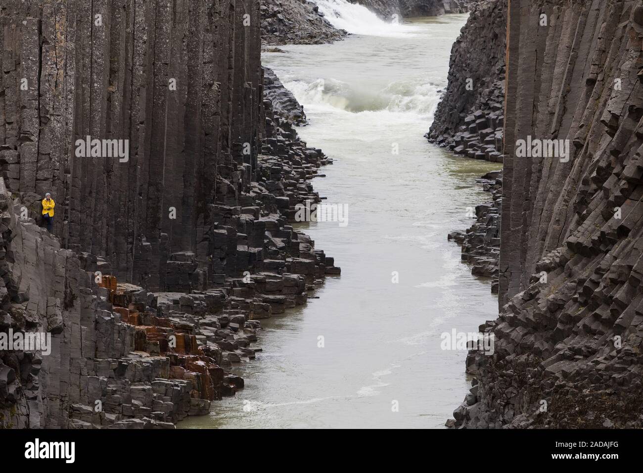 Studlagil avec colonnes de basalte de la vallée et la rivière glacier un Jorkulsa Bru, est de l'Islande, Islande Banque D'Images