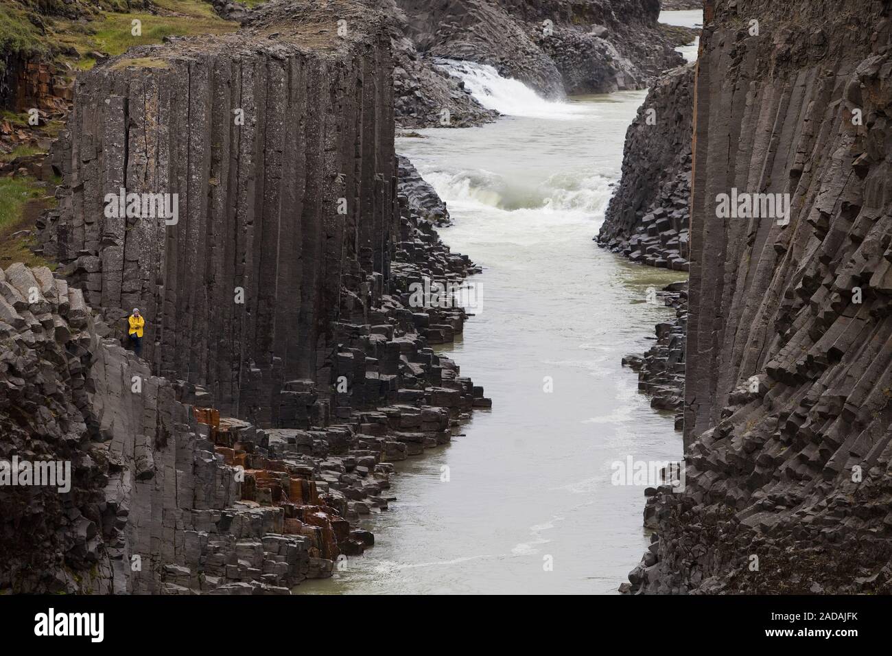 Studlagil avec colonnes de basalte de la vallée et la rivière glacier un Jorkulsa Bru, est de l'Islande, Islande Banque D'Images