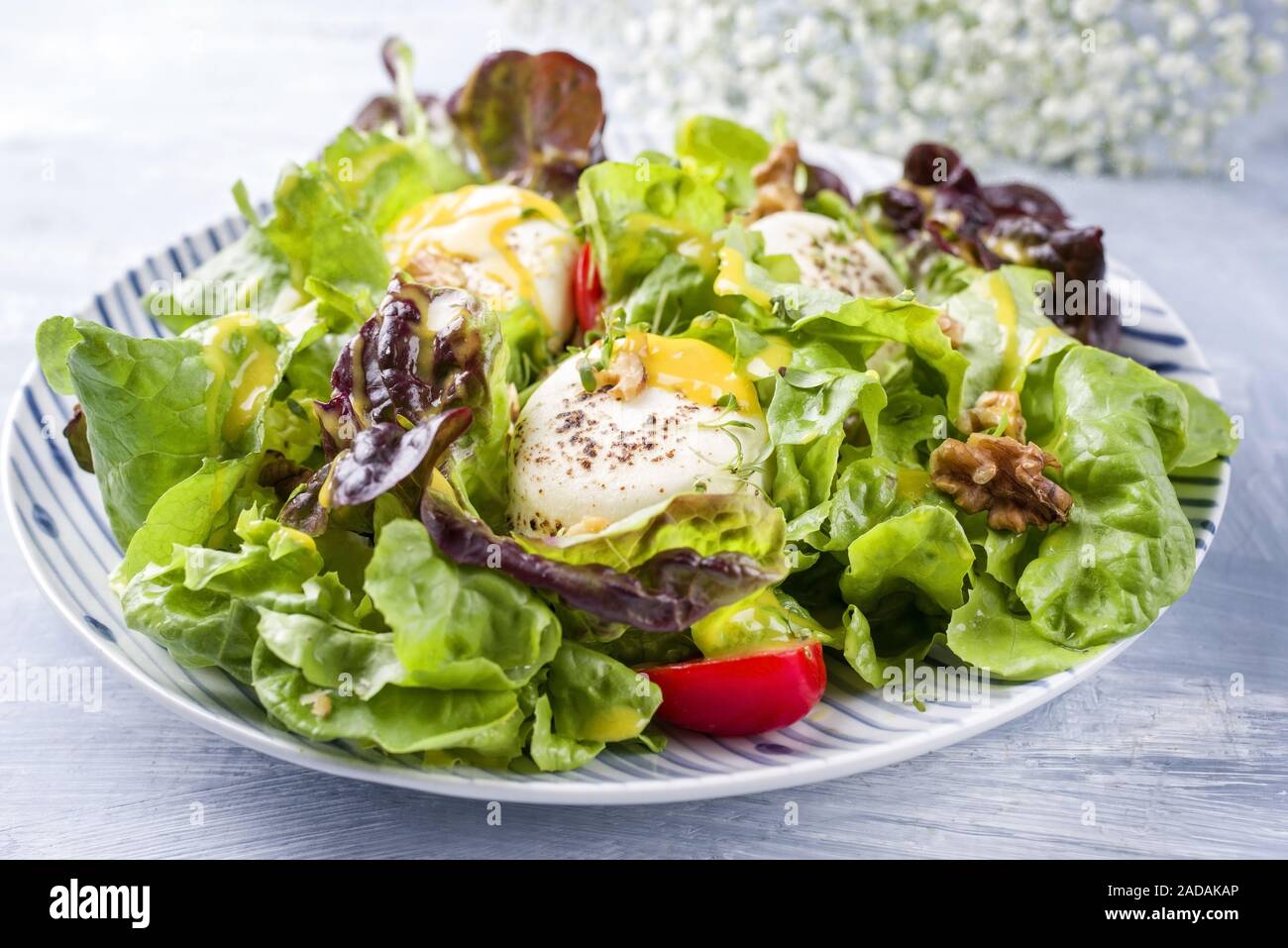 Germen traditionnels de l'été avec laitue laitue gondolé Banque D'Images
