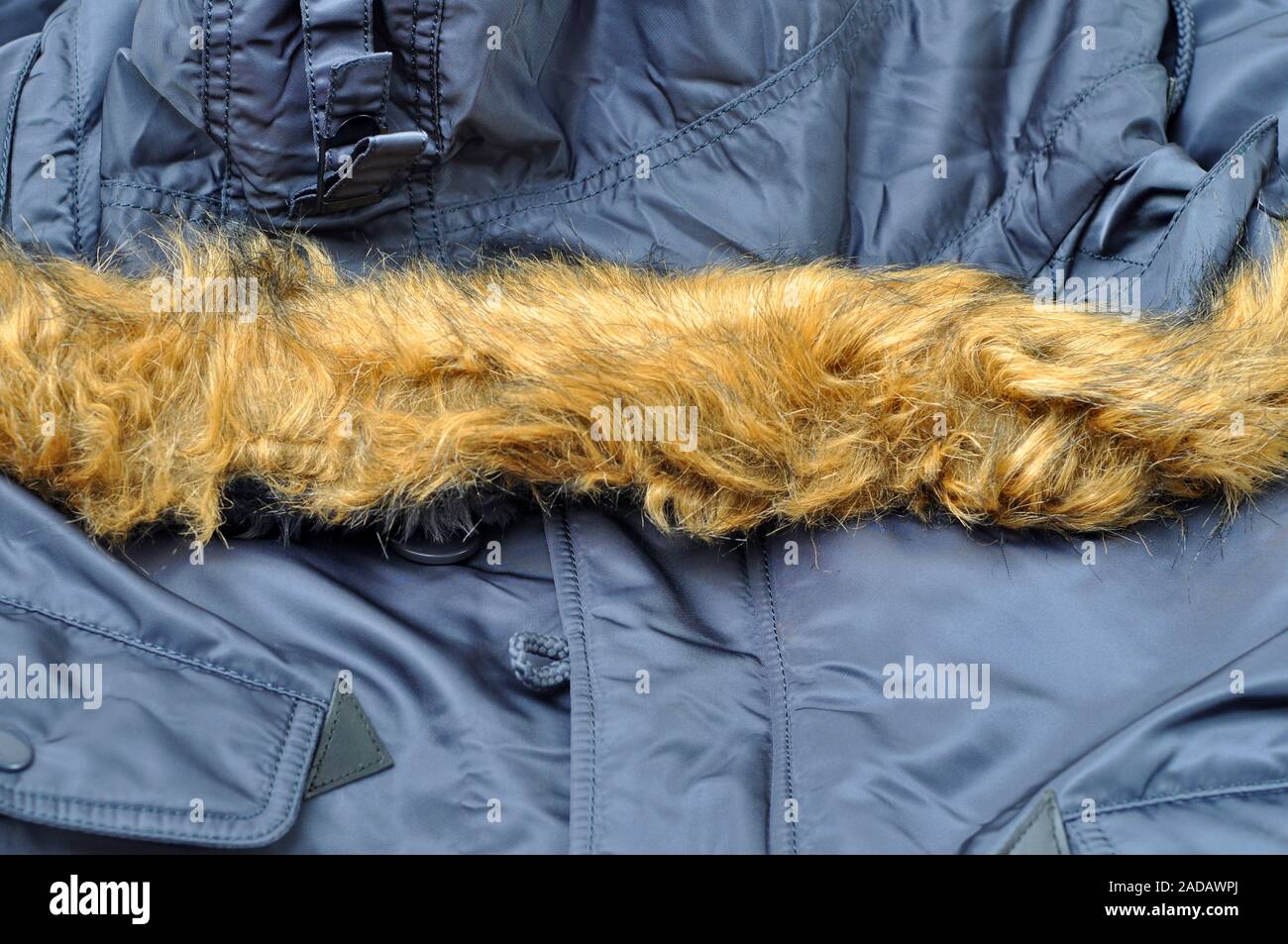 Bord de la fausse fourrure sur le col d'une veste pour hommes Vêtements. Banque D'Images