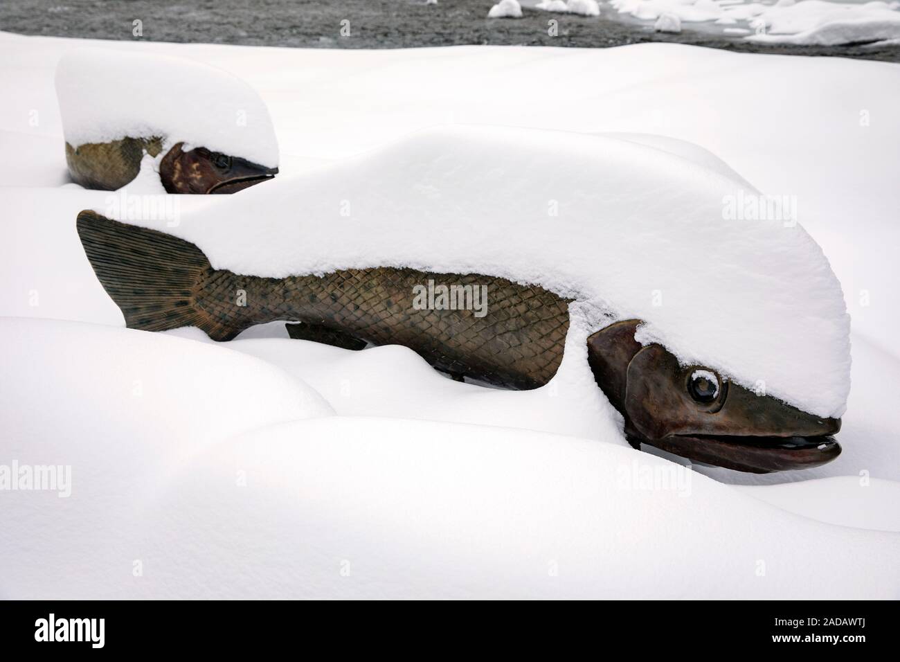 Retour de la truite fardée # 2 art sculpture publique couvertes de neige. Par Artiste : Pat Madison. Sentier du ruisseau clair - Golden, Colorado, USA Banque D'Images