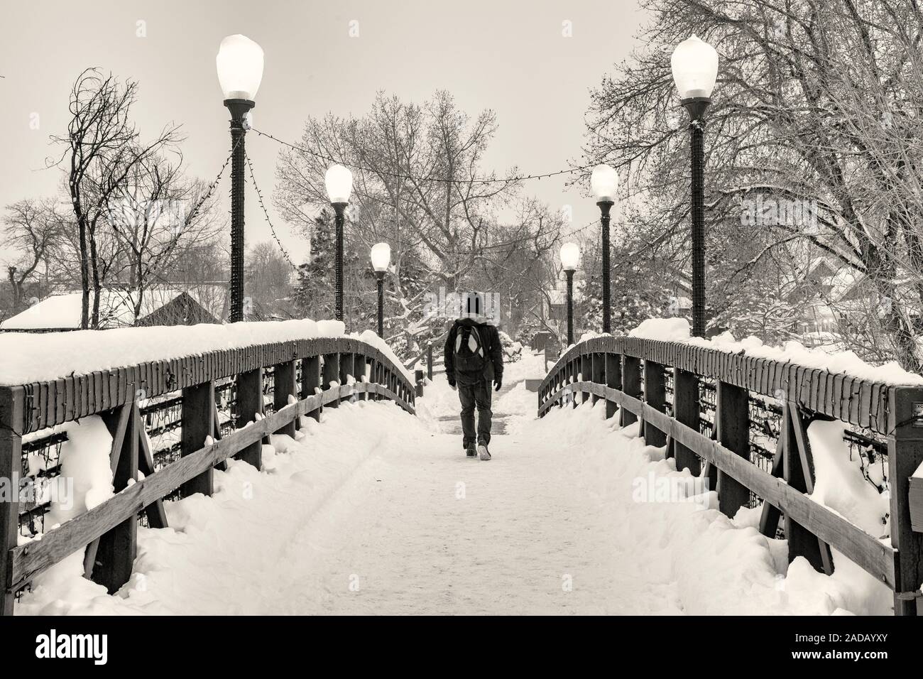 Homme marchant sur la neige-couvertes Billy a appelé Pont sur sentier du ruisseau clair (B&W) - Golden, Colorado, USA Banque D'Images