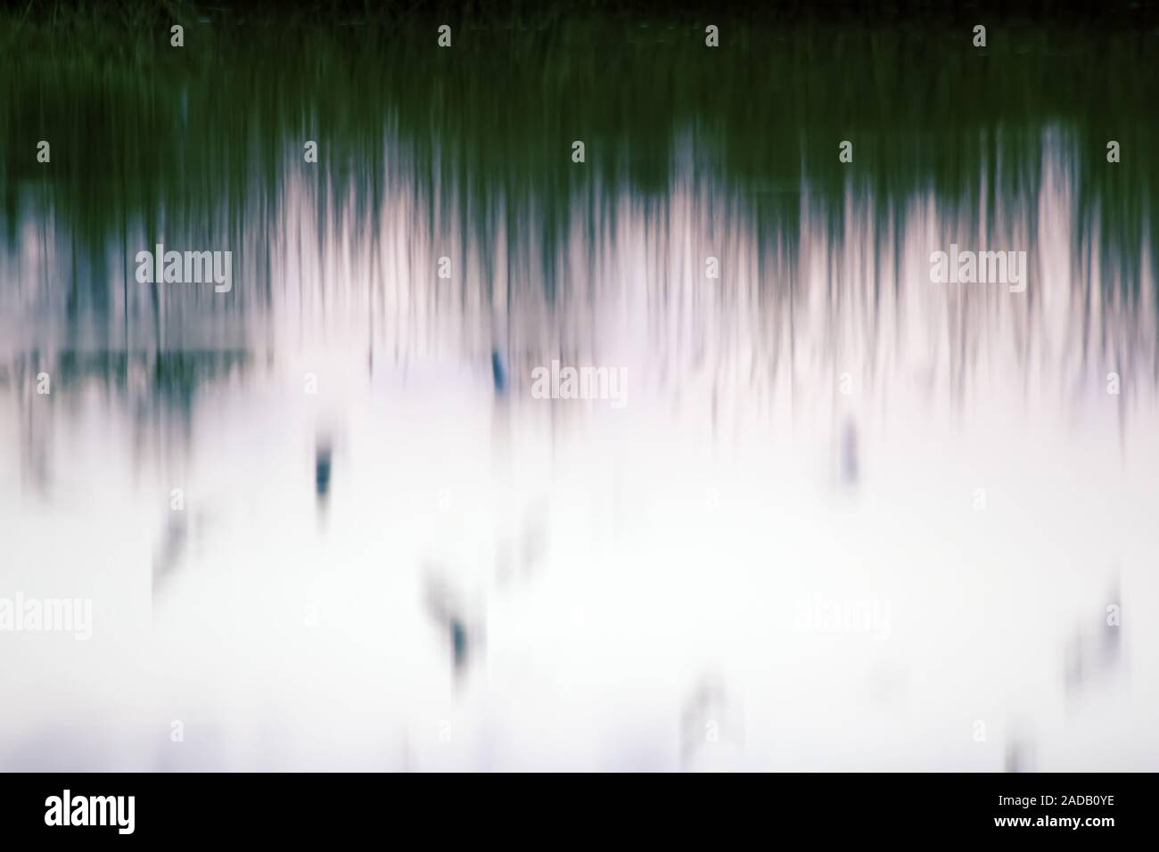 Reflet de l'herbe dans la rivière sur un sombre jour brumeux Banque D'Images