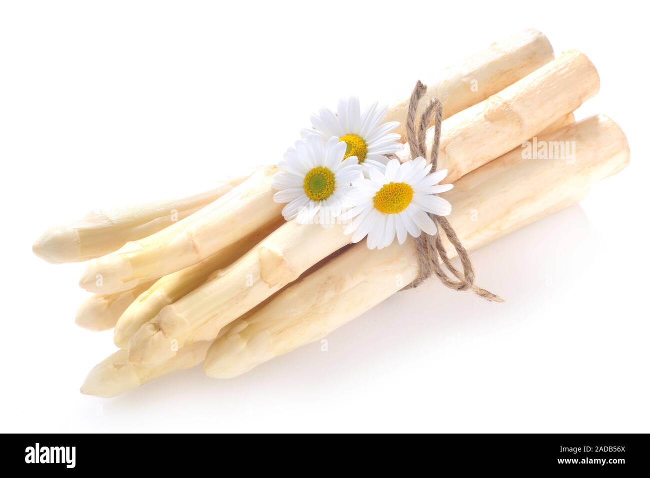 Asparagus Isolated On White Banque D'Images