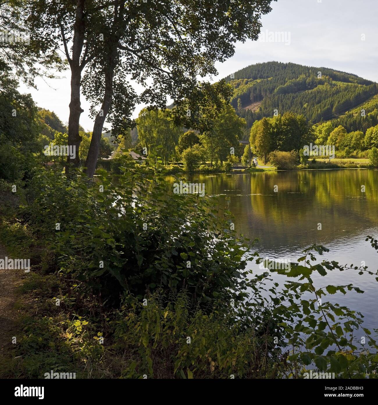 Stockage de la Ruhr, lac, Olsberg Sauerland, Nordrhein-Westfalen, Germany, Europe Banque D'Images