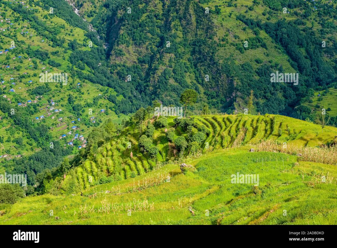 Paysage montagneux avec les rizières en terrasse, le village Bung dans la distance Banque D'Images