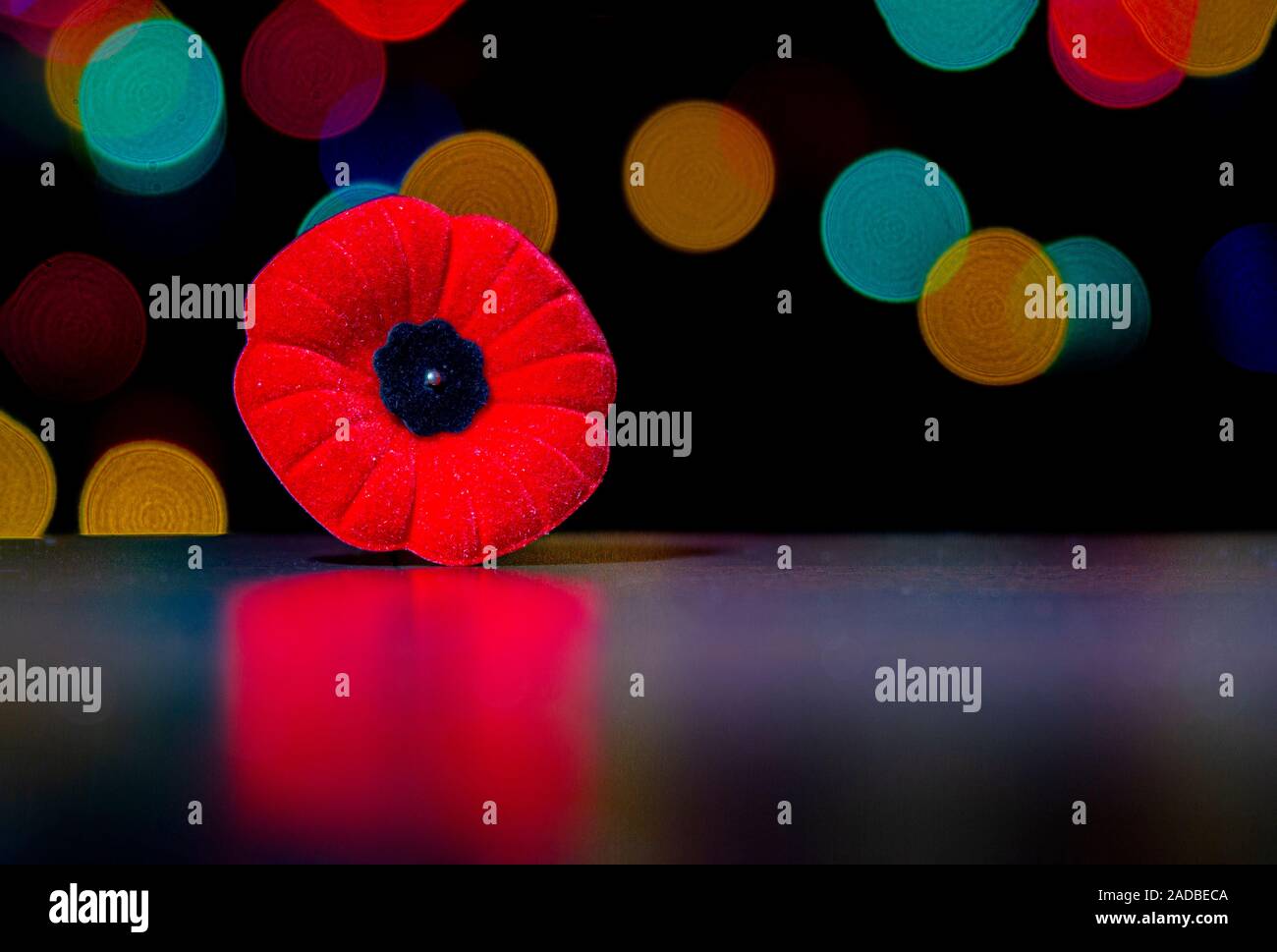 Le Jour du Souvenir, la fleur de pavot avec des lumières de Noël, Noël Banque D'Images