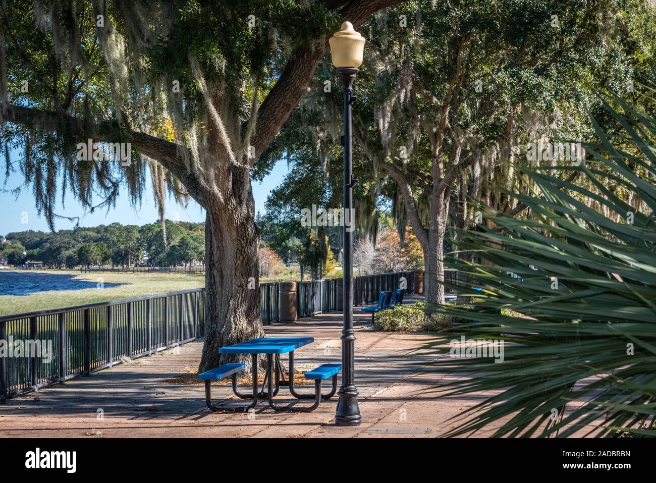 City Park sur le lac Minneola près de centre-ville historique de Clermont, en Floride. (USA) Banque D'Images