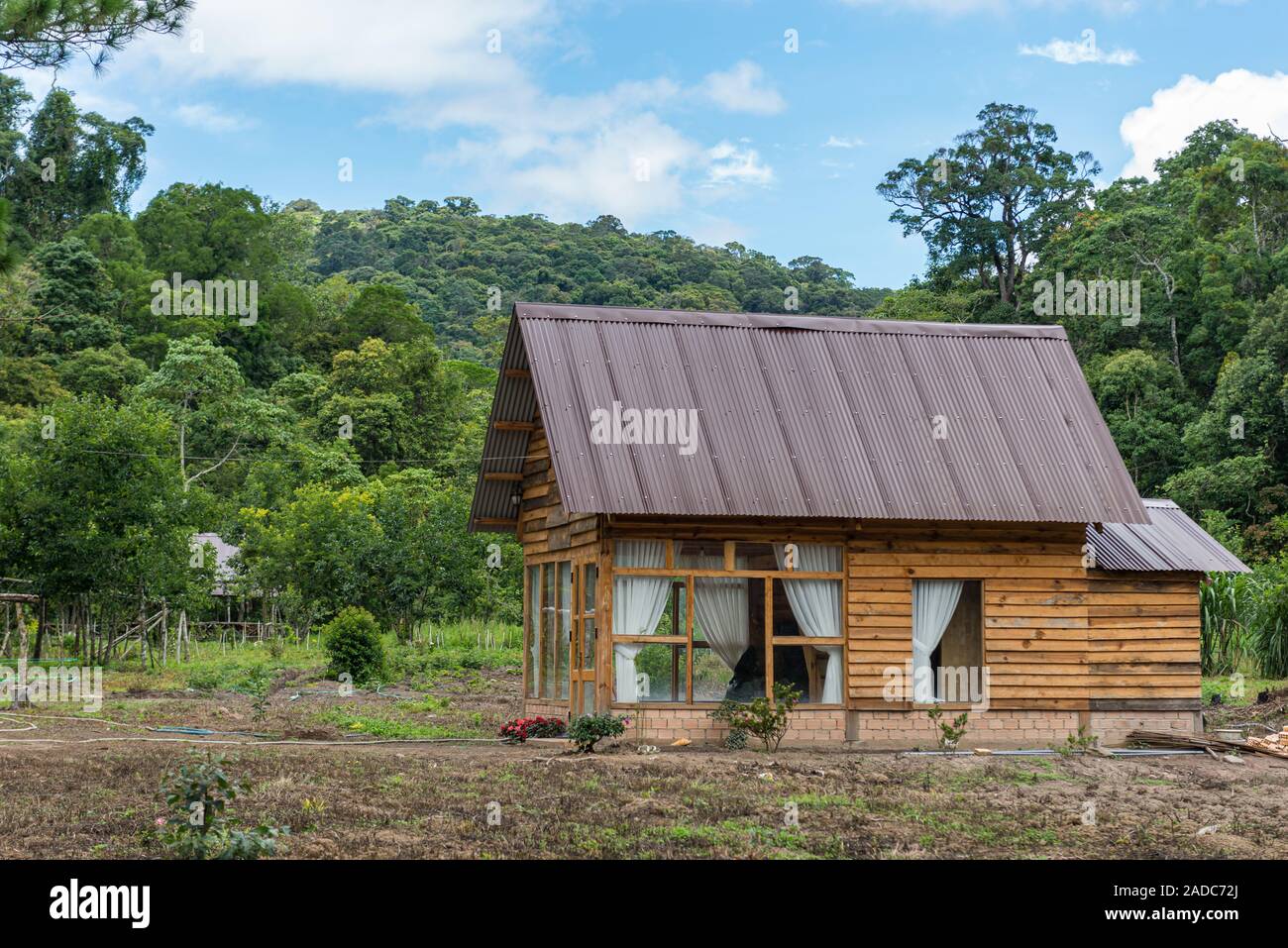 Petit chalet en bois dans la forêt au printemps Banque D'Images