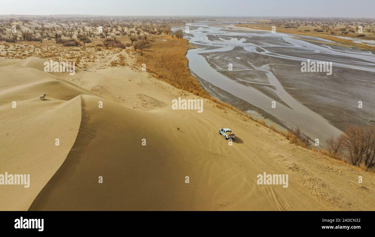 (191204) -- URUMQI, le 4 décembre 2019 (Xinhua) -- photo aérienne prise le 18 novembre 2019 montre l'Imin's family sur leur chemin un déménagement à travers le désert en comté Yutian, nord-ouest de la Chine, la Région autonome du Xinjiang Uygur. Avant de passer à la nouvelle colonie le 17 novembre et le 18 novembre de cette année, la maison d'Imin berger était au coeur de l'Désert Taklimakan, le deuxième plus grand désert de sable dans le monde. Pour des centaines d'années, les ancêtres d'Imin ont installés le long de la rivière Keriya, qui coule du sud au nord jusqu'au cœur de dunes de sable sans fin, en plus comme des doigts et providin Banque D'Images
