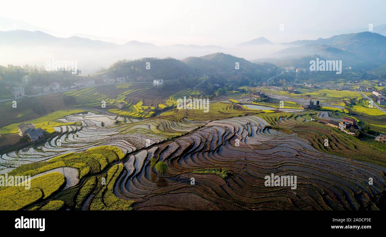 Xi'an. Mar 26, 2018. Photo aérienne prise le 26 mars 2018 présente le paysage de champs en terrasses Fengyan dans le nord-ouest de la province de Shaanxi. Credit : Liu Xiao/Xinhua/Alamy Live News Banque D'Images