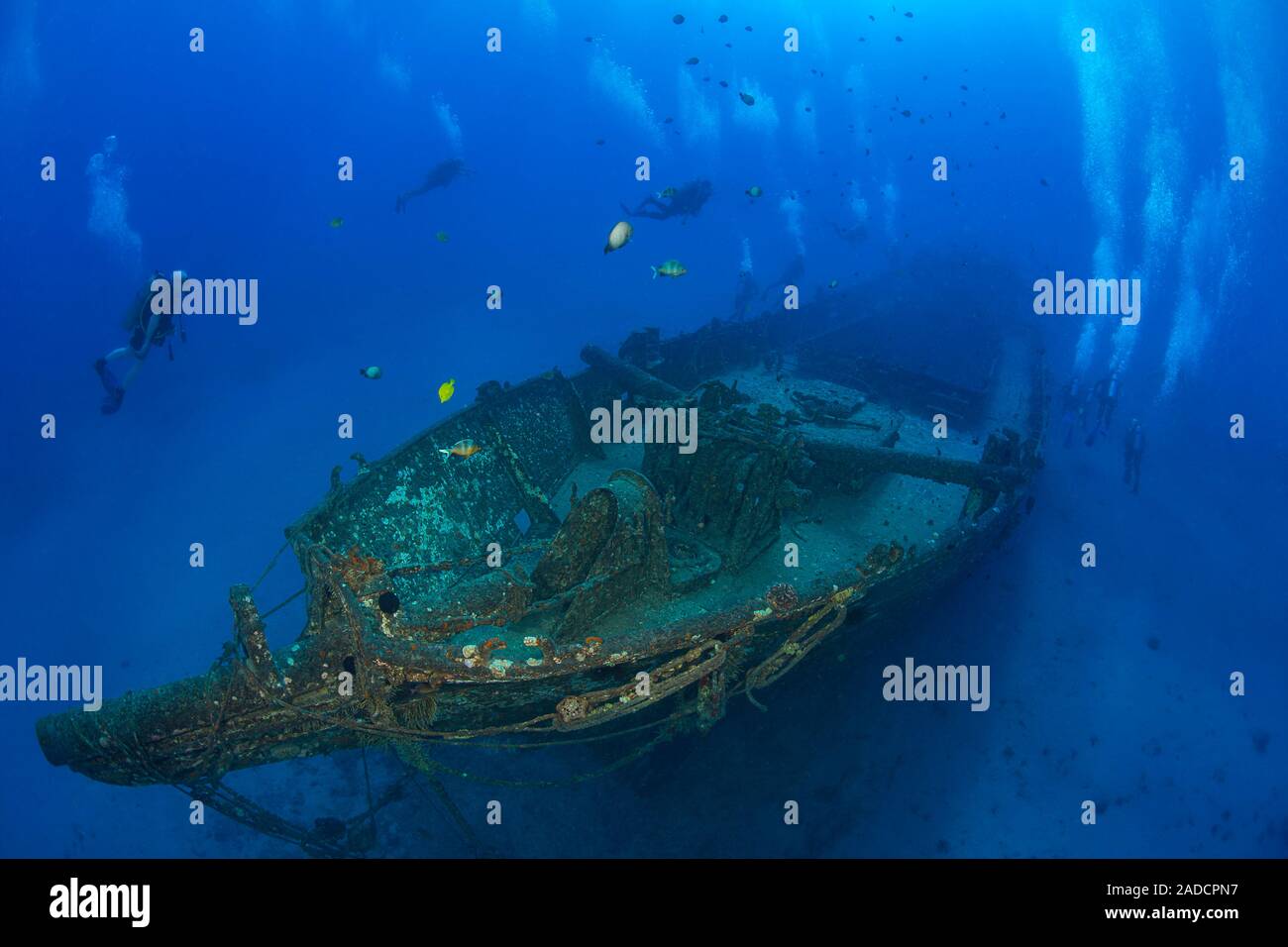 Les Carthaginois, un historique de Lahaina, a été coulé comme récif artificiel au large de Lahaina, Maui, Hawaï en décembre 2005. Banque D'Images