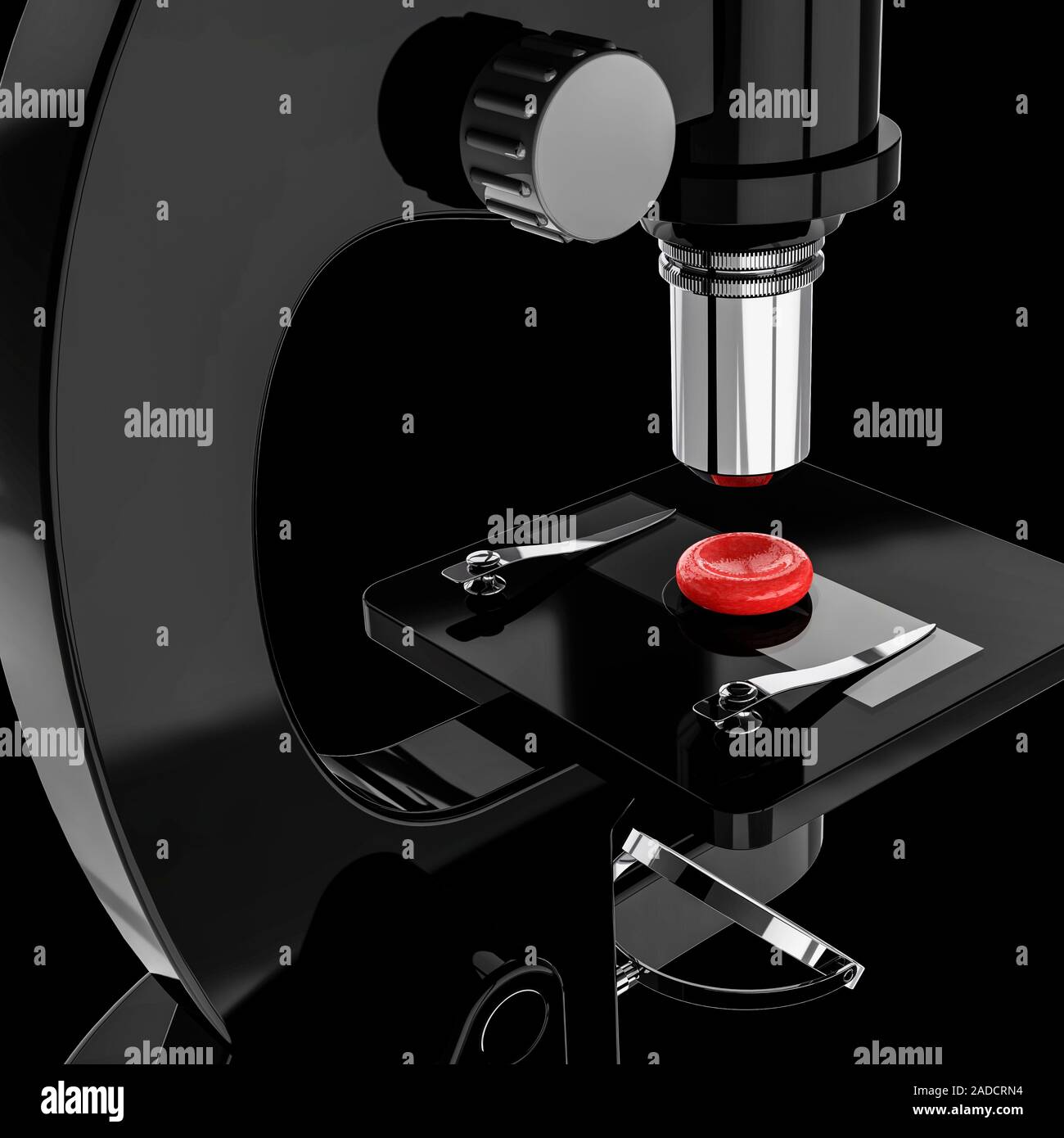 Conceptual illustration montrant un globule rouge en cours d'examen au microscope. La principale fonction des globules rouges (érythrocytes) est de vissages Banque D'Images