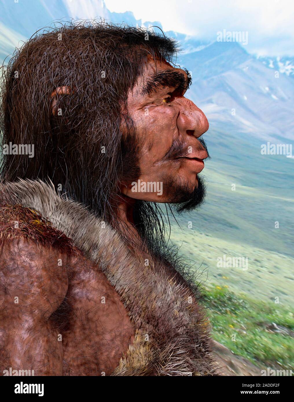 l-homo-heidelbergensis-illustration-de-l-homme-de-heidelberg-homo