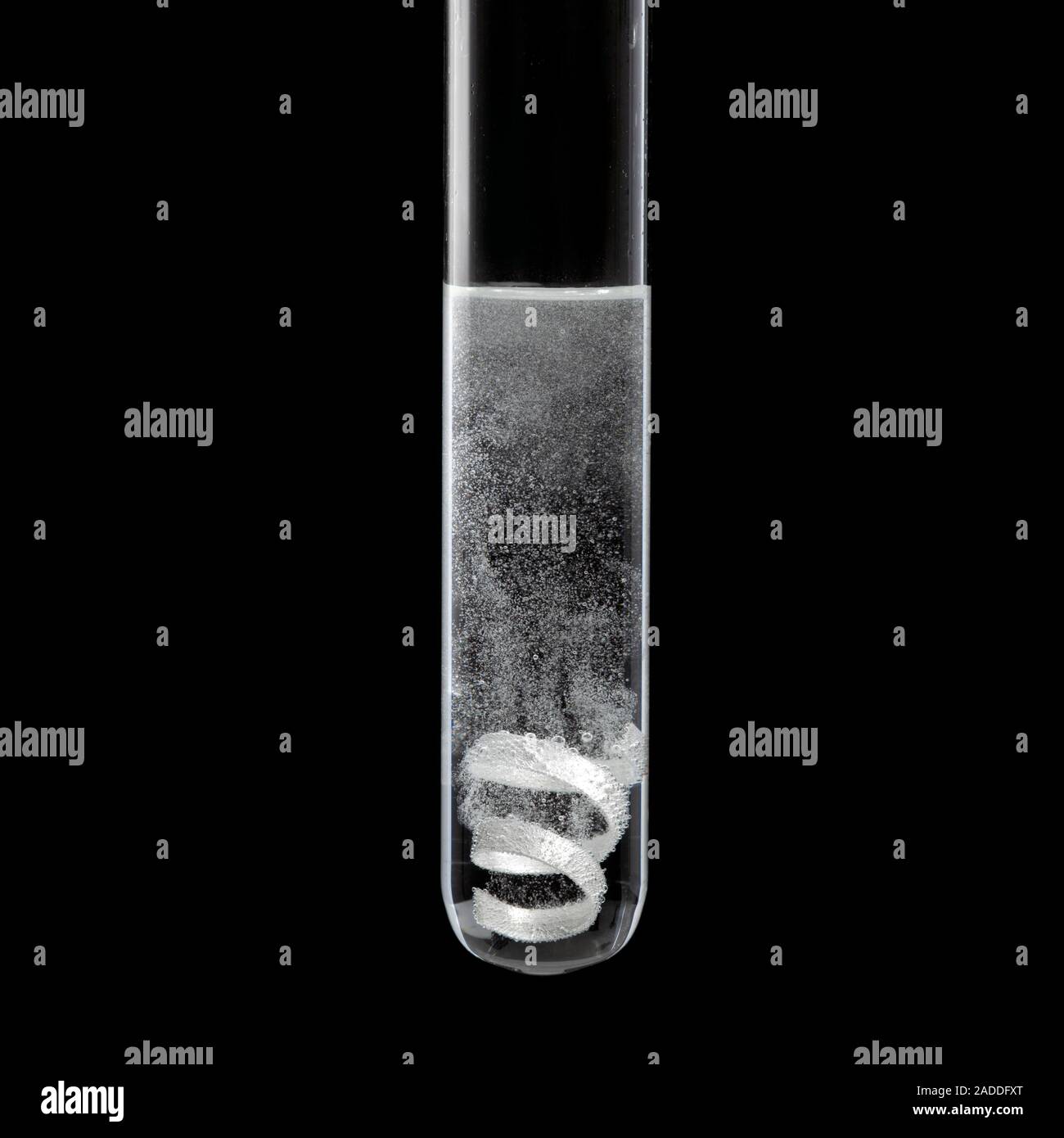 Le magnésiumréaction acide. Ruban de magnésium réagit avec un acide