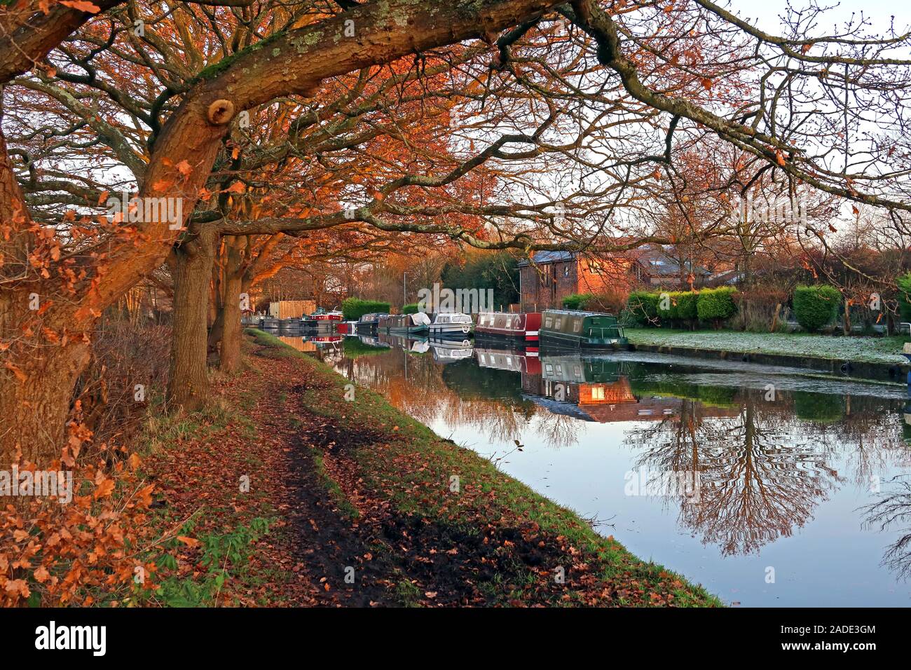 Massey Brook à l'automne, chemin de halage du canal Bridgewater, entre les villages de Thelwall et Lymm, Warrington, Cheshire, Angleterre, Royaume-Uni Banque D'Images