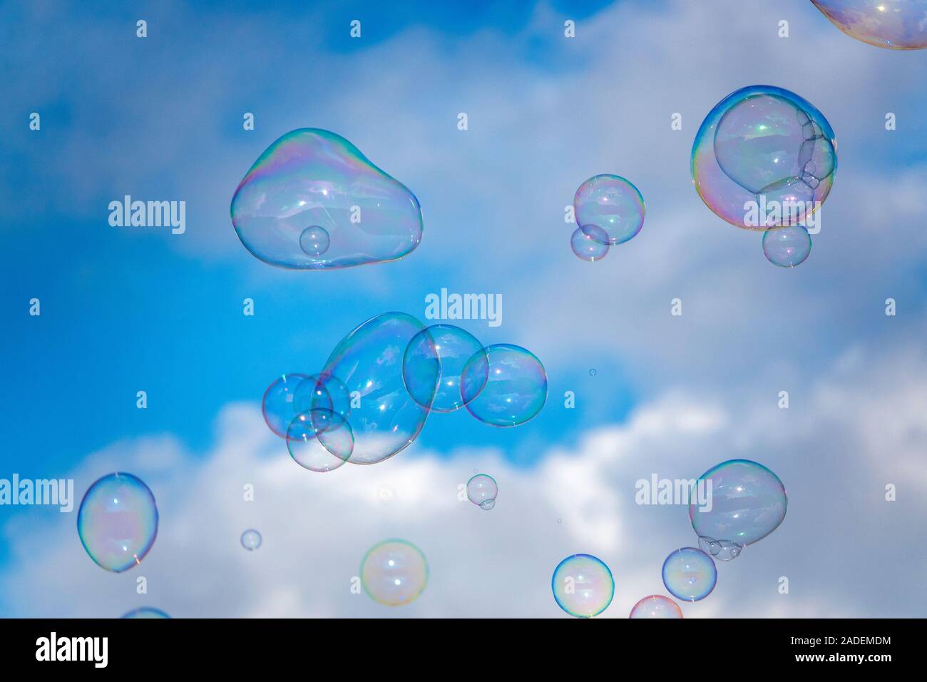 Gros plan de quelques bulles de savon Banque D'Images