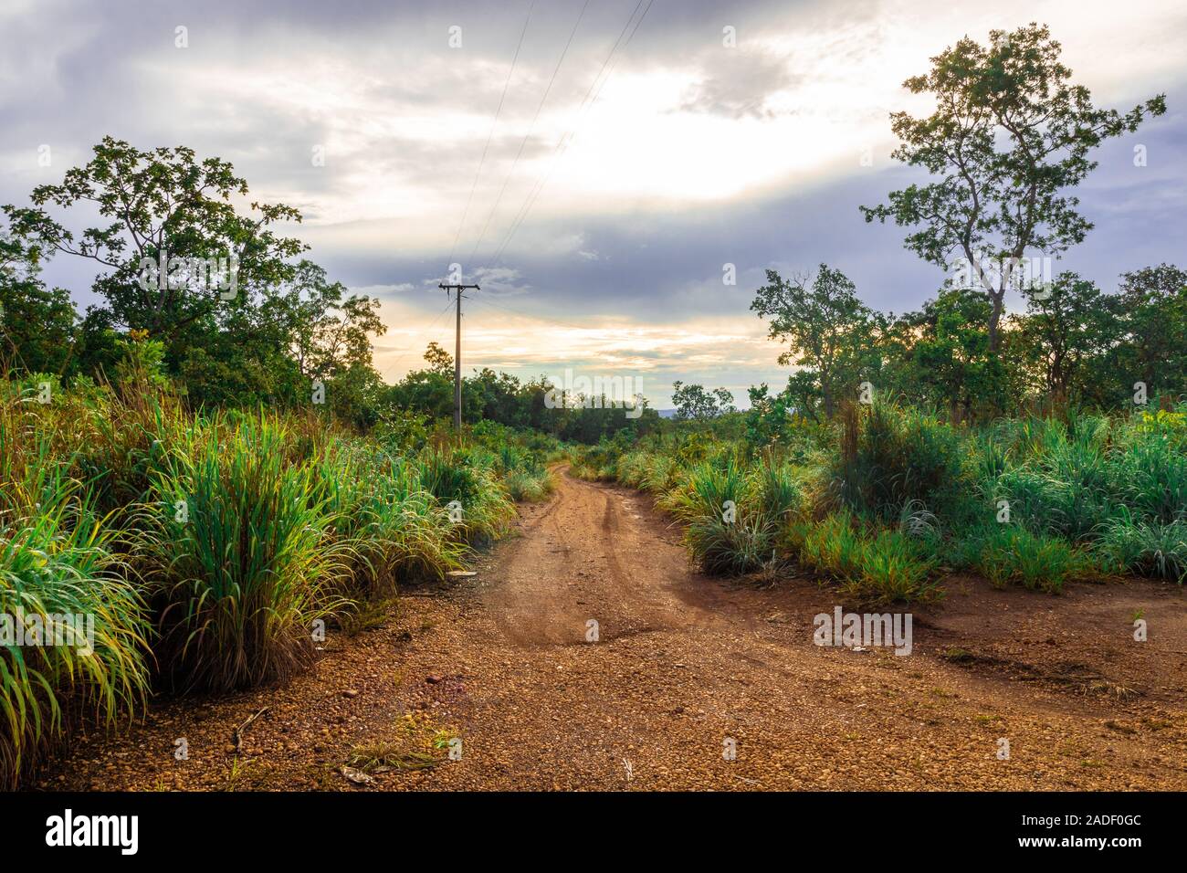 Route de terre dans la campagne brésilienne Banque D'Images