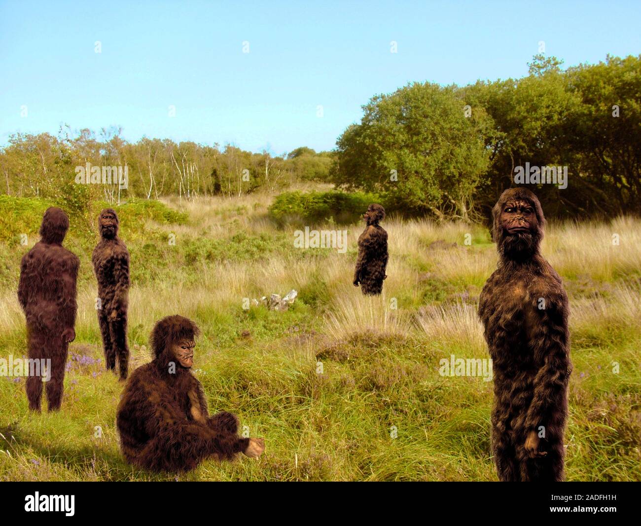 Groupe d'hominidés. Artwork d'un groupe d'hominidés rassemblement dans ...