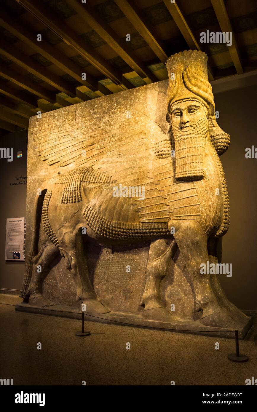 Un lamassu du palais de Sargon II à Dur-Sharrukin, Université de Chicago, l'Institut Oriental Hyde Park, Chicago, Illinois, États-Unis Banque D'Images