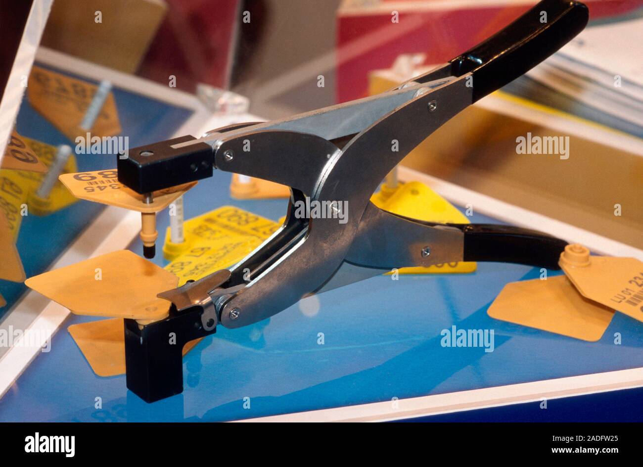 20 Ensembles Étiquettes D'Identification Vierges Pour Bétail Chèvres Moutons Vaches Porcs Fournitures Agricoles L 10x7 6cm