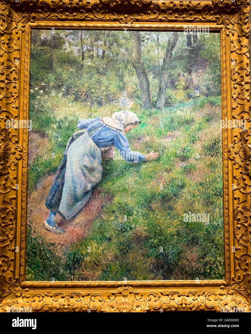 La peinture de Camille Pissarro Boulevard Montmartre, herbe de collecte de l'Art Institute of Chicago, Chicago, Illinois, États-Unis Banque D'Images