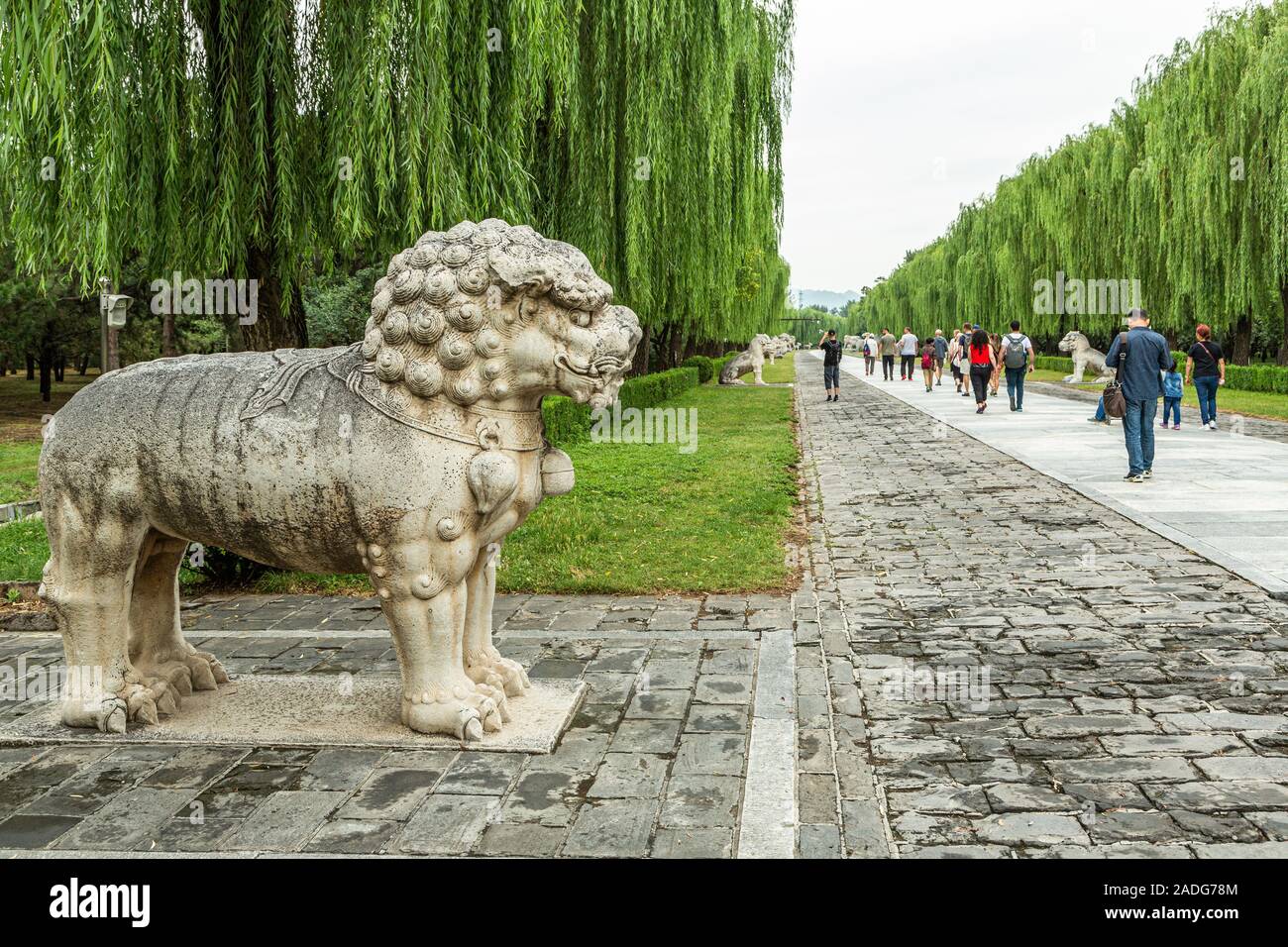 La Voie Sacrée, est une route principale menant à toutes les tombes des Tombes impériales des dynasties Ming et Qing avec sculptures en pierre, Beijing Chine Banque D'Images
