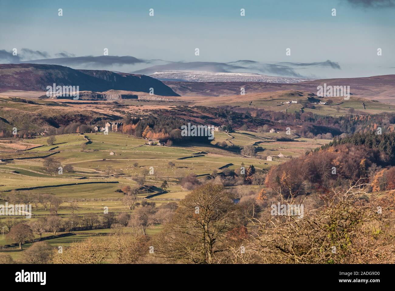 Plus de Teesdale, Holwick, à traverser est tombé de Teesdale, latérale moyenne Banque D'Images