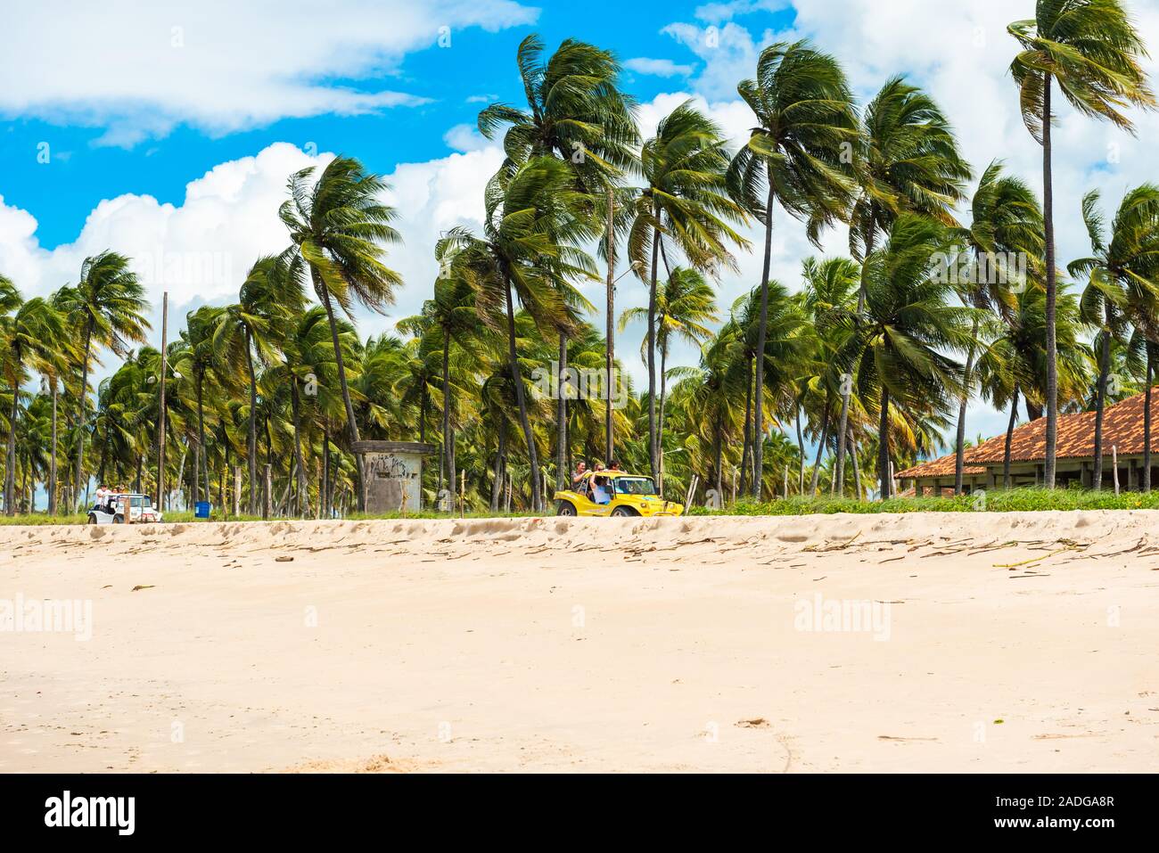 IPOJUCA, BRÉSIL - le 18 juin 2019 : Vue de la plage de sable de Porto de Galinhas. L'espace de copie pour le texte Banque D'Images