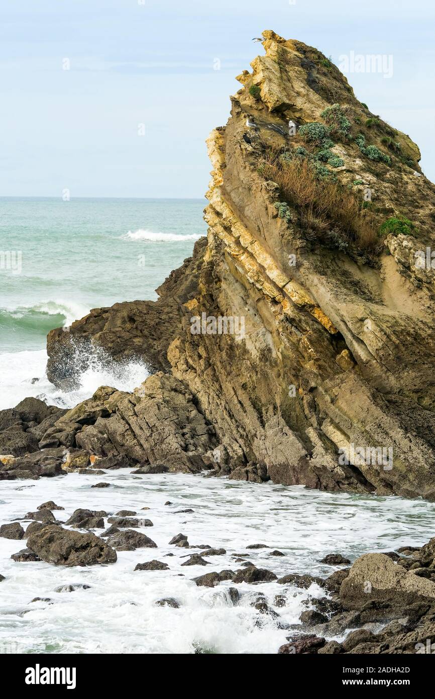 Côte des Basques - la Côte des Basques, Biarritz, Pyrénées-Atlantiques, Pyrenees-Atlantique, France Banque D'Images