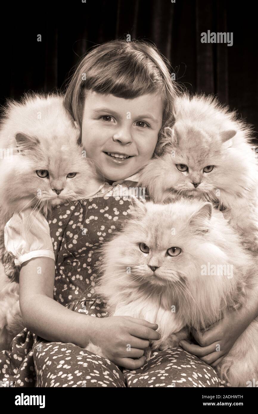 1950 SMILING GIRL LOOKING AT CAMERA entouré par trois chats persans SILVER GRINCHEUX - c3130 HAR001 HARS EXPRESSIONS ANIMAUX demi-longueur B&W EYE CONTACT MAMMIFÈRES BONHEUR CHOIX À POIL LONG entourée de félins CONNEXION AUTORITÉ RACE CONCEPTUEL JUVÉNILES FELINES ÉLÉGANT MAMMIFÈRE KITTY SOLIDARITÉ PERSAN NOIR ET BLANC DE L'ORIGINE ETHNIQUE CAUCASIENNE HAR001 old fashioned Banque D'Images